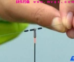秋季黑坑如何连杆？可以从三个方面分析