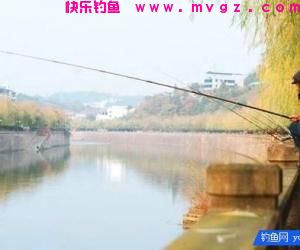 冬季稍稍设置下鲫鱼技巧，收获还是比较乐观