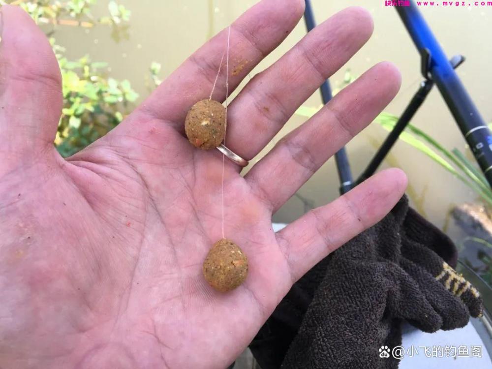 开鲤鱼饵的小技巧，按照此方法，咬钩的都是