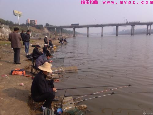 什么时候吃透了钓鱼的这5个经验技巧，新手就能升级成老手了
