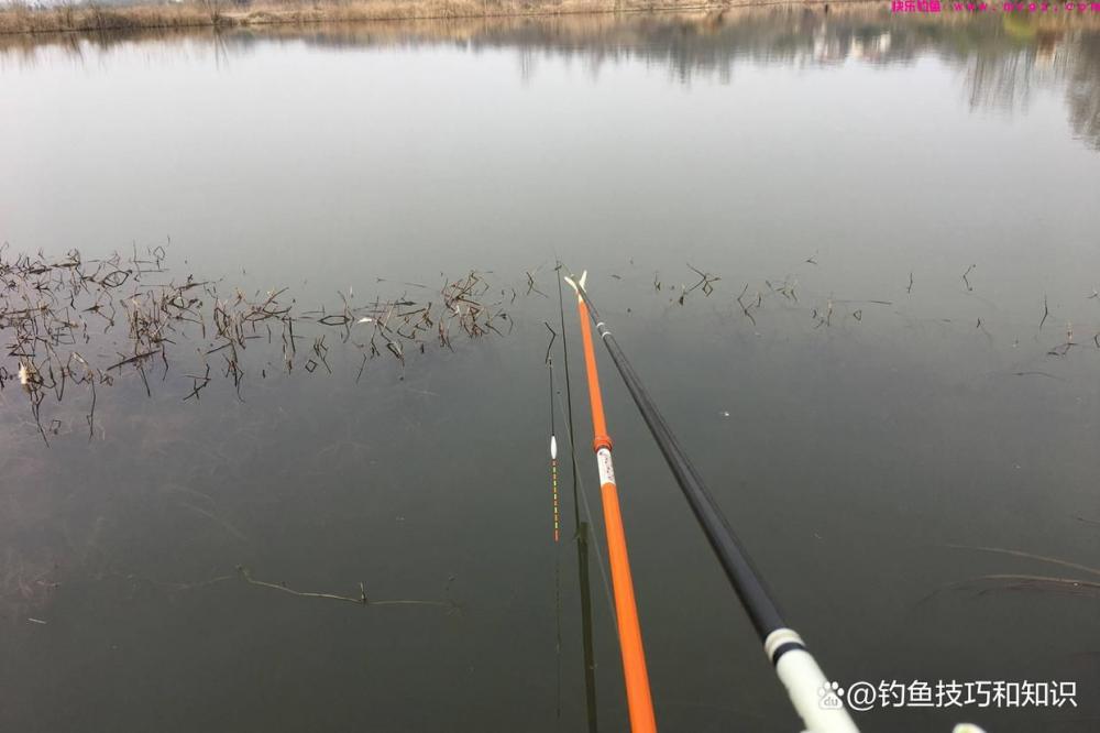 春天钓鱼的小秘诀，好用的长短竿钓法，黑坑