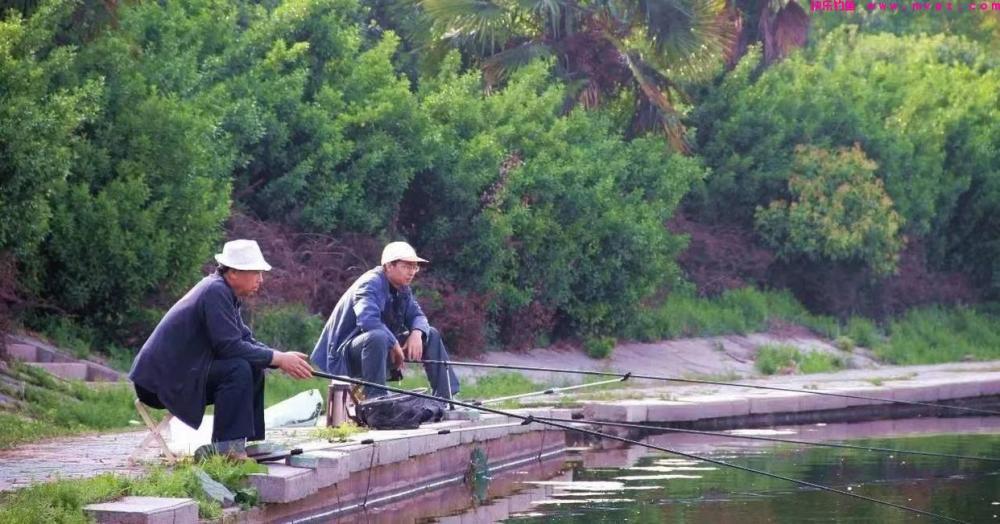 钓鱼的技能小知识