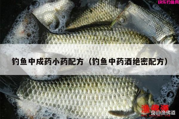 钓鱼中成药小药配方（钓鱼中药酒绝密配方）