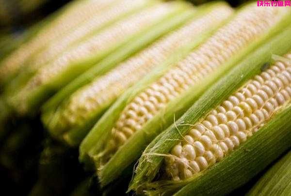 夏季野钓超好用的五款“天然饵料”，只有对