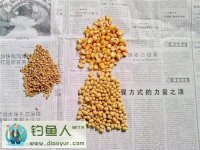 自制诱饵窝料(鲫鱼鲤鱼草鱼通杀)分享