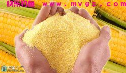 高手推荐一款自制钓鱼饵料（主攻鲢鳙鲤鱼草鱼）