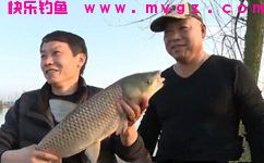 自制钓四大家鱼的10款天然鱼饵