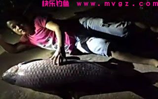 三元鱼饵钓鲤鱼草鱼鲢鳙窝料配方分享