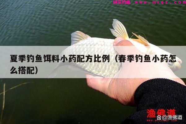 夏季钓鱼饵料小药配方比例（春季钓鱼小药怎么搭配）