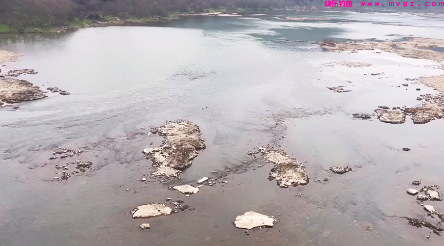 江西钓友在水库下钓鱼，遭遇大量“怪草鱼”，竟是淡水之王？
