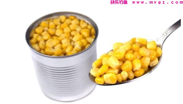 钓草鱼，究竟是用嫩玉米好还是用老玉米钓效果好？