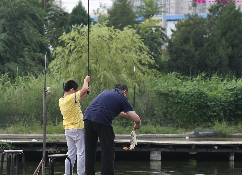 钓草鱼的技巧全在这里，掌握后草鱼排着队进窝咬钩，果断收藏