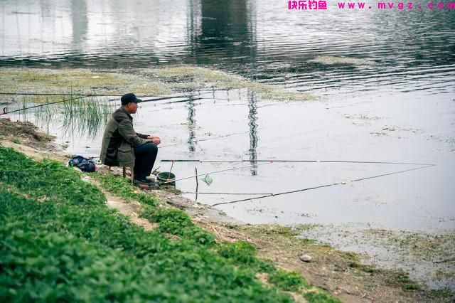 草鱼该怎么钓？夏季如何钓好草鱼？（一）