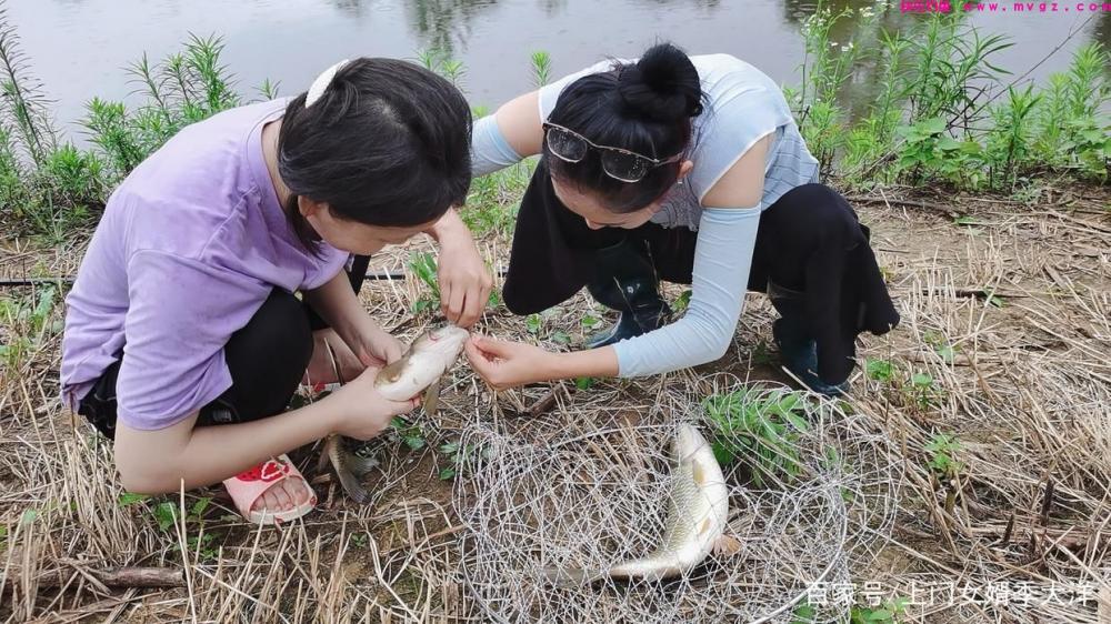 夏季是垂钓草鱼的黄金季节，那么我们该如何去钓呢？