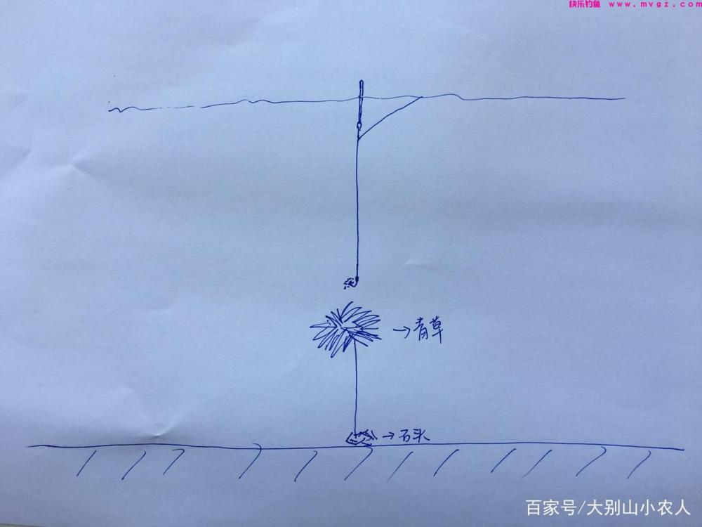 夏天来了，草鱼怎么钓？这3种方法，助你钓