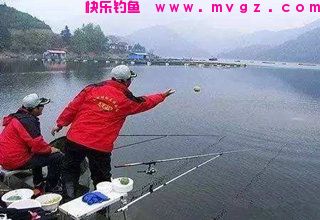 不同对象鱼的打窝饵料和打窝方法