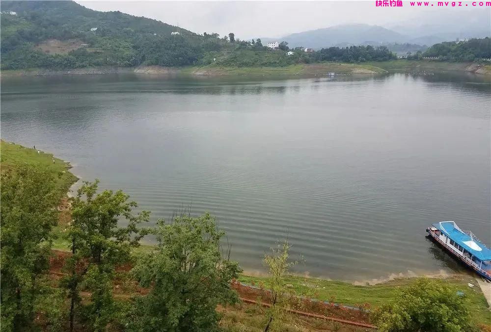 实打实的钓鲤经验，都是干货，不扯虚的！