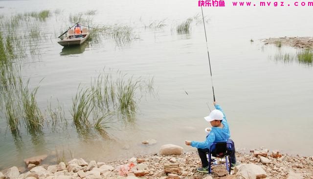 夏季天热，鲤鱼“狡猾”难钓？试试这4招，别不信，大鲤鱼照样上