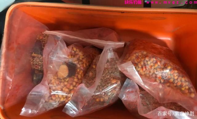 野外鲤鱼没有想象中那么难钓，掌握这5个技
