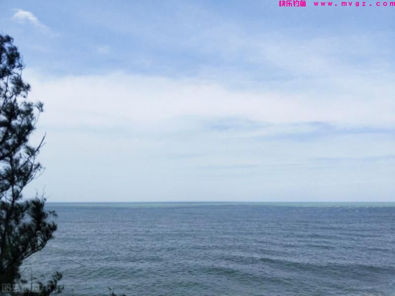想钓鲤鱼怎么办？选择这个小技巧，钓鱼得心应手，不费吹灰之力