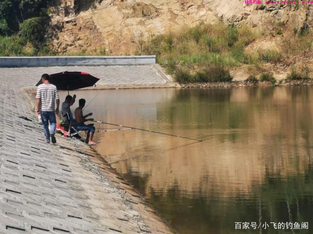 新手钓鲢鳙指南：认真做好这6点，就能让你快速钓到鱼！