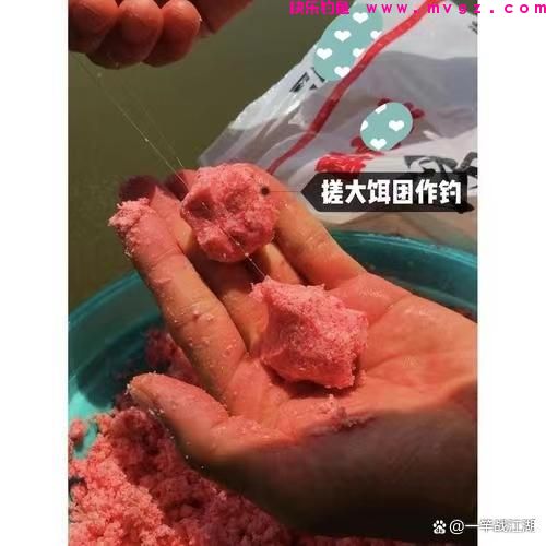 手竿钓鲢鳙子线和饵料的一些小窍门，手竿钓鲢鳙子线长短有诀窍
