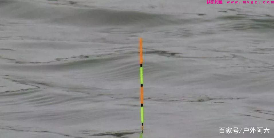 谈谈手竿浮钓鲢鳙时浮漂的选择，水库钓鱼户外野钓大头鱼选浮漂