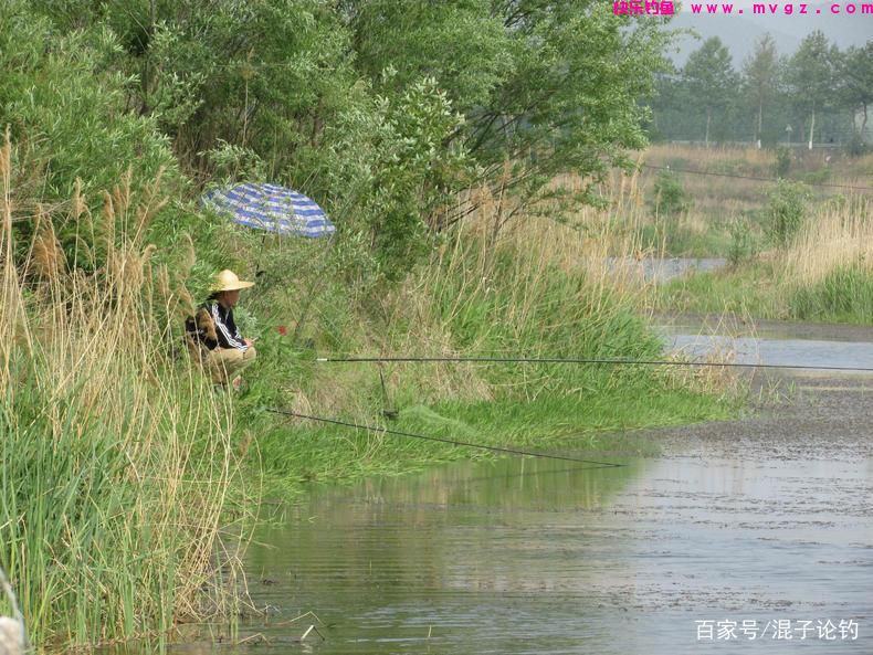 盛夏钓鲢鳙五步走，上鱼几十斤不成问题