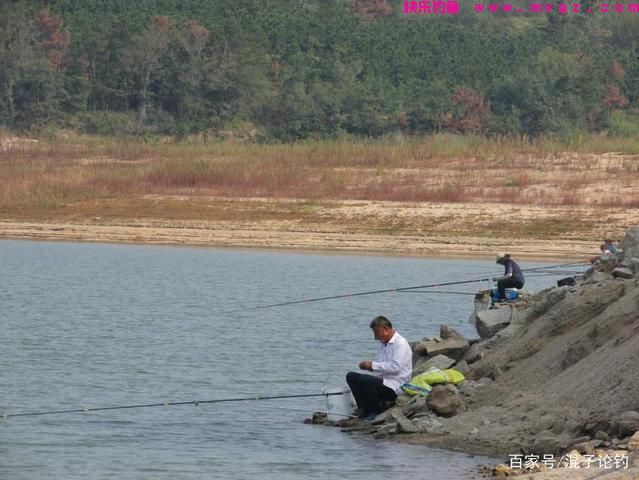 夏天野钓鲢鳙全攻略，大鱼入护很轻松