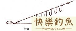 高手分享垂钓草鱼、青鱼的实用技巧[很详细]