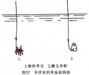 高手分享青鱼的12种钓法