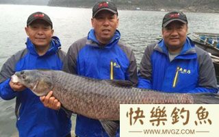 徐清华解答冬季钓鱼技巧（附巨青饵料配方）