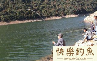 台钓钓法手竿钓青鱼技巧