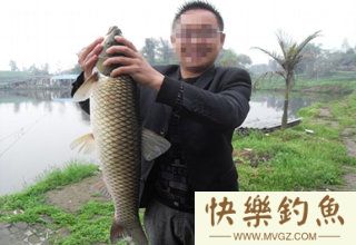 夏季高温天气水库钓草鱼的4个技巧