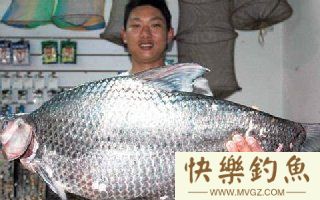 钓鱼高手谈六月钓鳊鱼的技巧