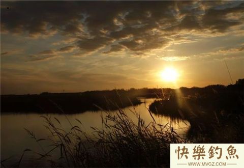江河水库钓鲶鱼的一些技巧与注意事项