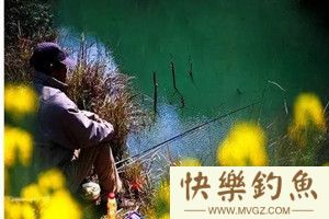 春季钓鱼3忌3宜及钓点选择的奥秘