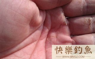 野钓子线秒切的六个因素