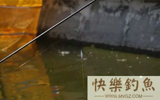 高手野外钓鱼调漂经验分享