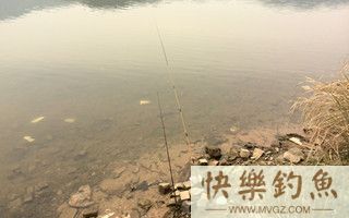 冬季溪流野钓鲫鱼的技巧分享