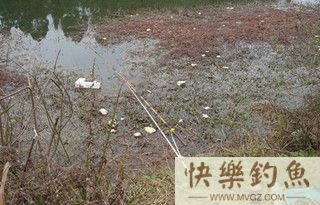 冬季野钓选择钓位的技巧及经验