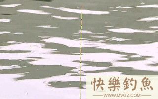 野钓浮漂走水的原因及解决方法
