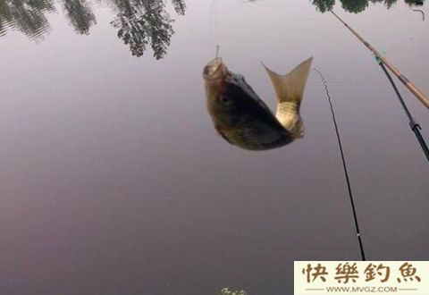 冬天钓鱼如何选择钓场与打窝