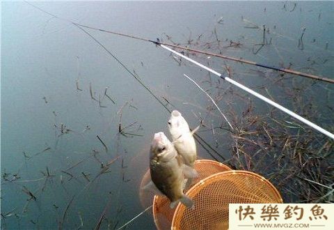 冬季垂钓的五大误区你知道吗？
