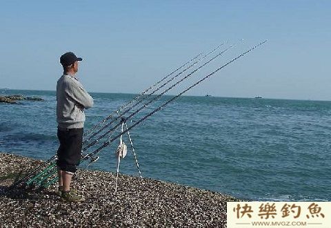 冬季鱼口太轻怎么办？三大绝招助你轻松应对轻口鱼
