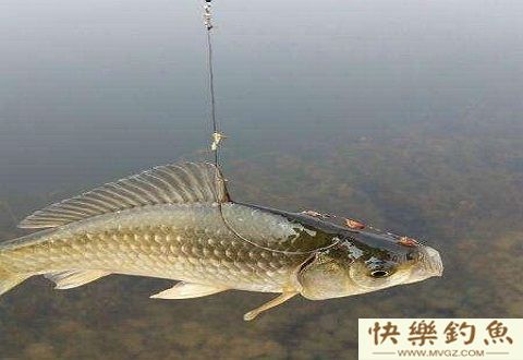 入冬后，用这种方法钓鱼，想空军都难
