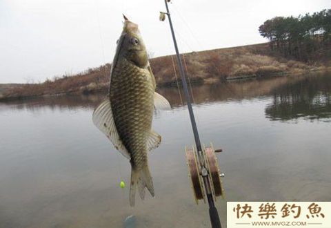 为什么冬季晴天也不好钓鱼？
