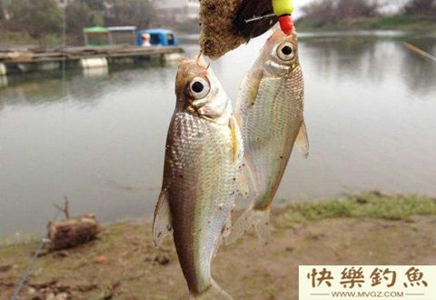 新手必备的三个冬季野钓技巧
