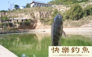 实践心得分享之夏日巧避小罗非的方法