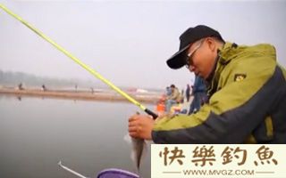 春夏秋冬四季钓鳊鱼的技巧全解